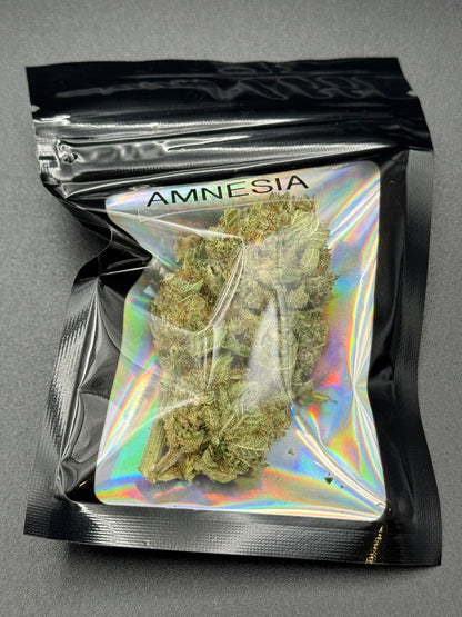 AMNESIA