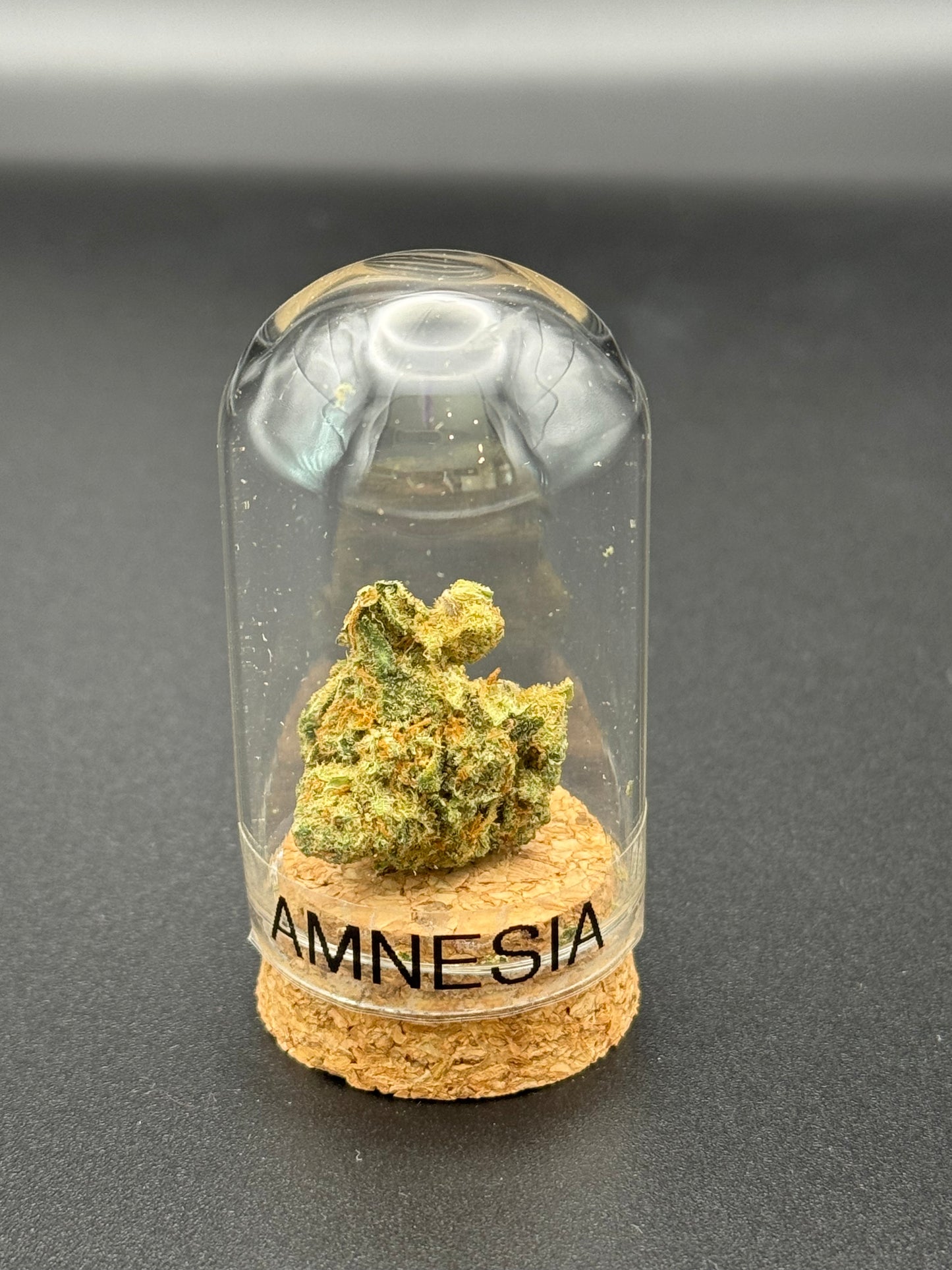 AMNESIA