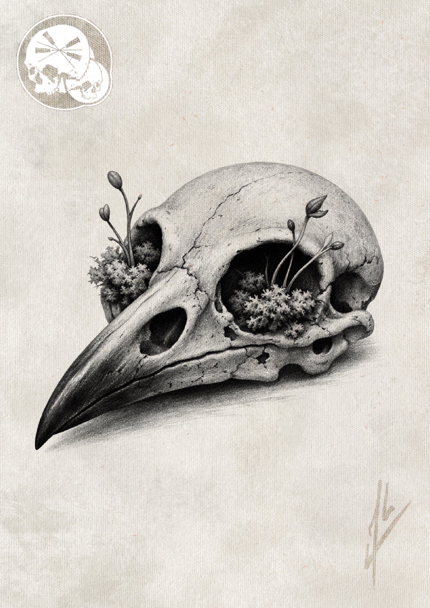 Réservation tatouage — Crâne de Corbeau – Réalisme organique Black & Grey