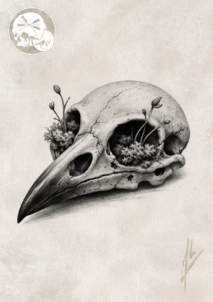 Réservation tatouage — Crâne de Corbeau – Réalisme organique Black & Grey