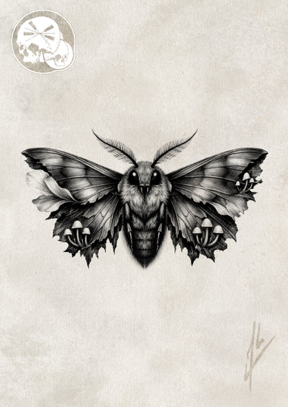 Réservation tatouage — Tatouage papillon de nuit