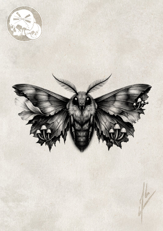 Réservation tatouage — Tatouage papillon de nuit